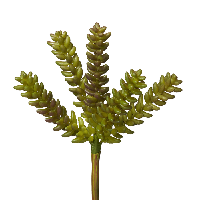 10" Sedum Pick - UV Treated SE1008UV