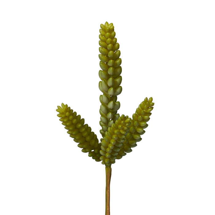 11" Green Sedum Stem - UV Treated SE1009UV