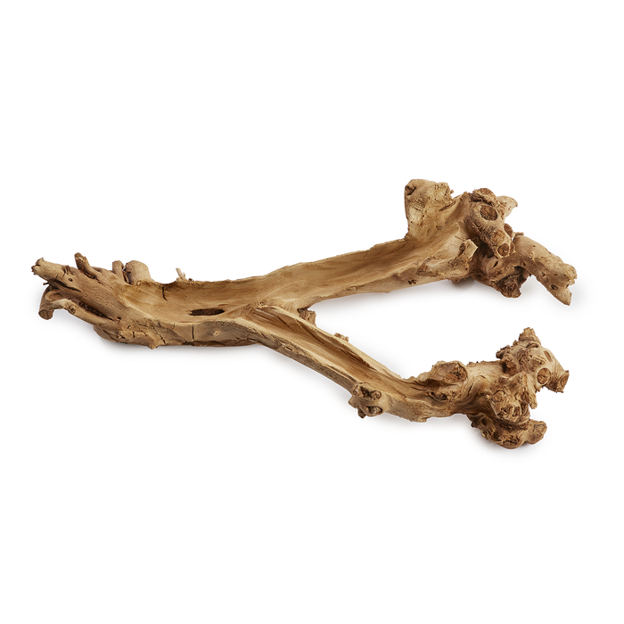 14" Charleston Mulberry Root WD1014