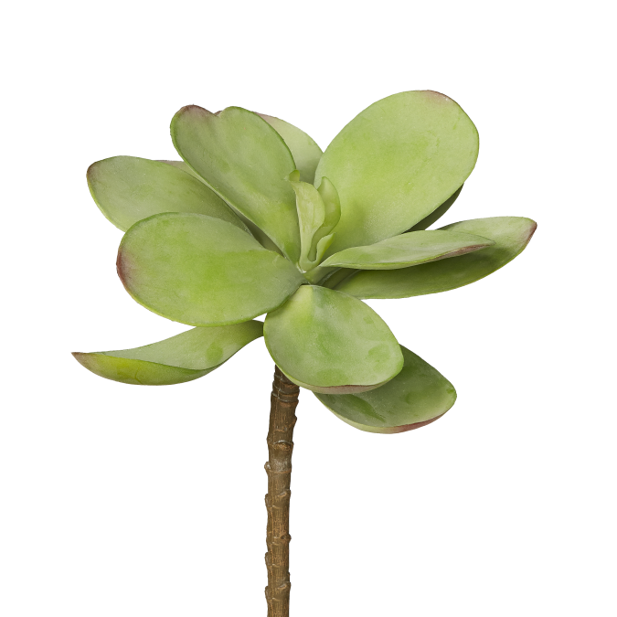 7" Dusty Stem - UV Treated SF1013UV