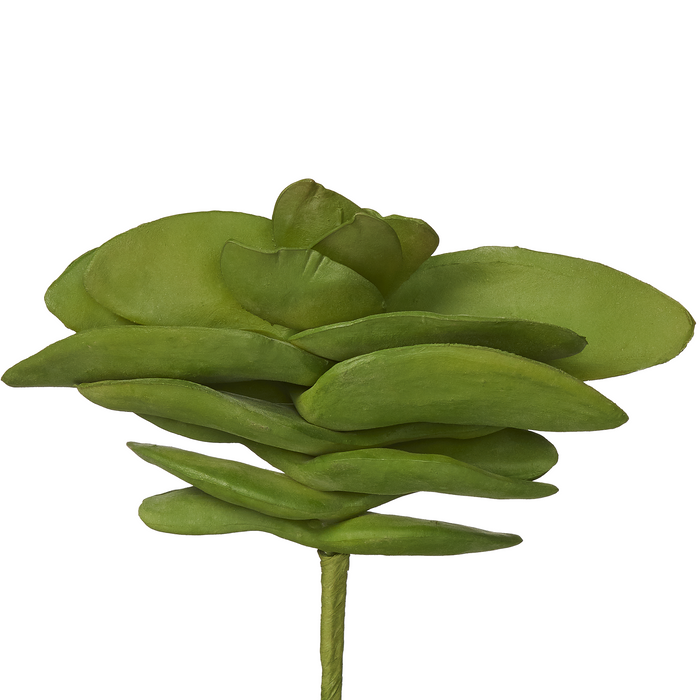 7" Succulent Pick SU1001