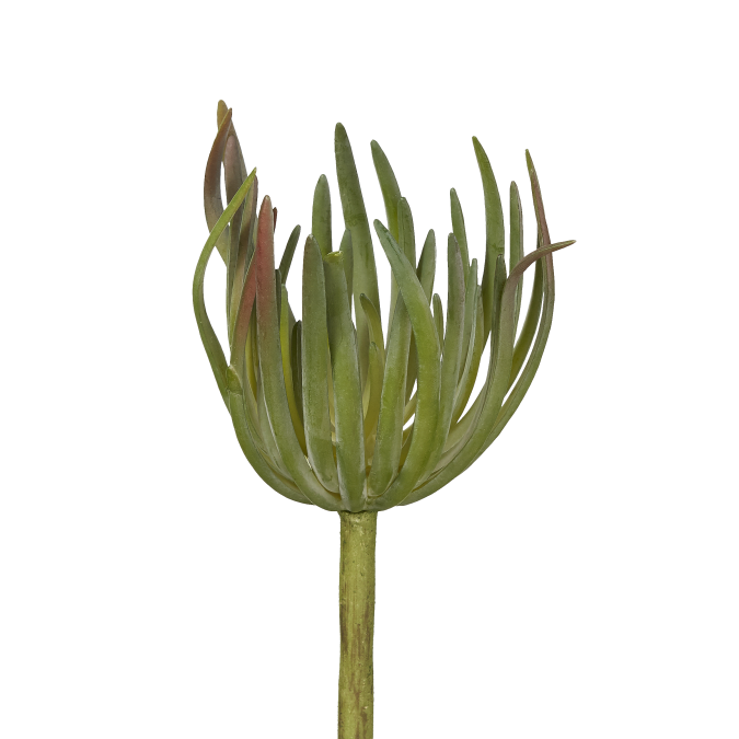 9" Green Succulent Pick - UV Treated SU1014UV