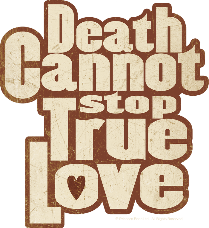 Death Cannot Stop True Love Hoodie