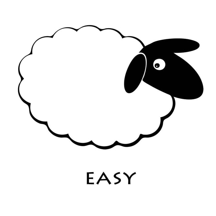 Hedgehog Felting Kit