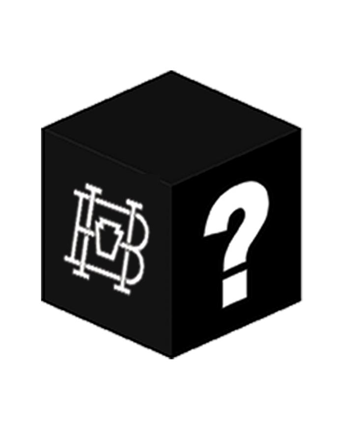 Homebase Holiday Mystery Shoe Box