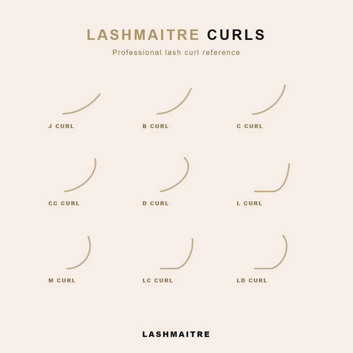 LASHMAITRE 40D Loose Premade Fans - Pointy Base 500 Fans complete curl guide