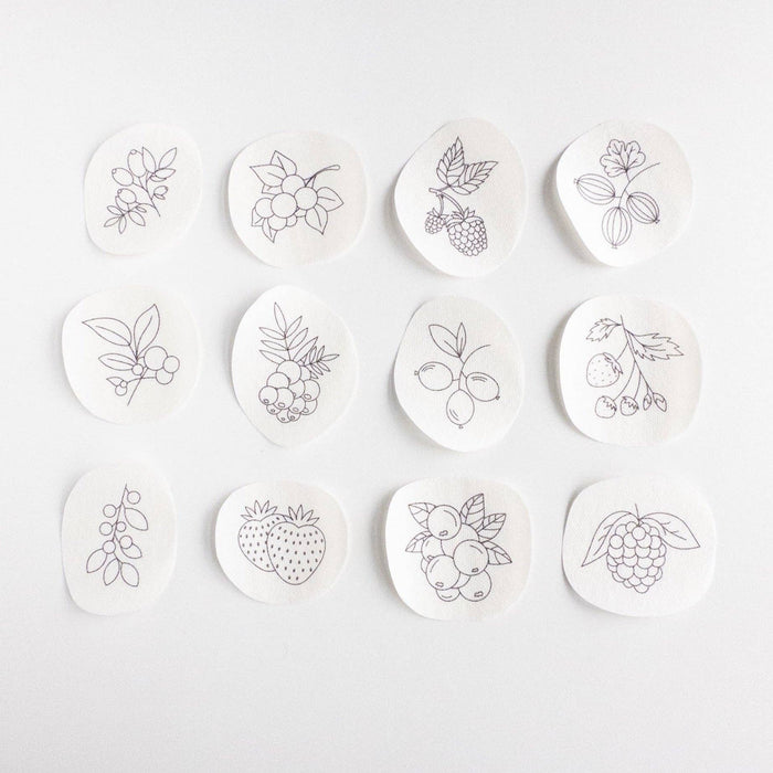 Stick and Stitch Berry Embroidery Patterns