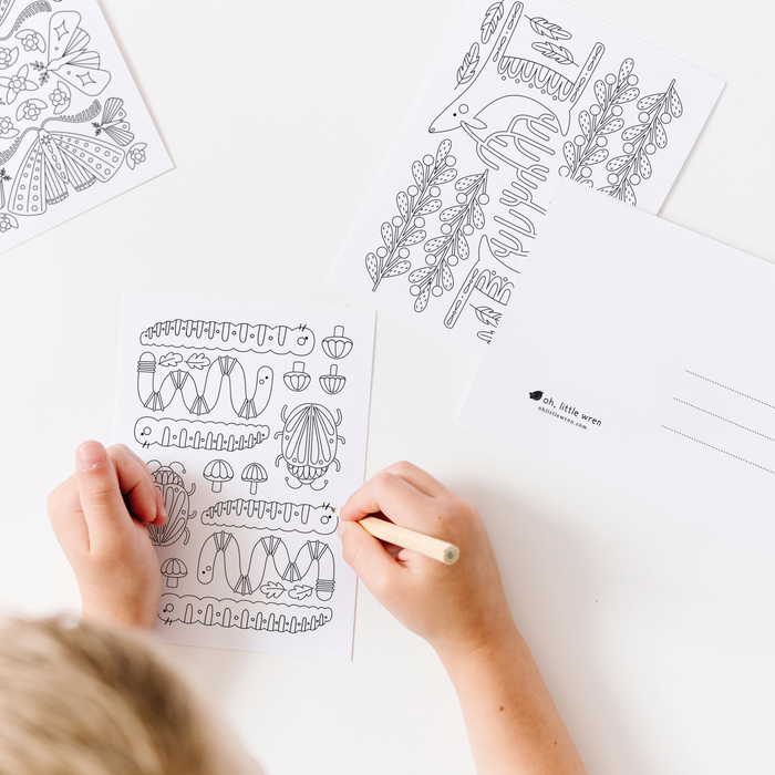 Wonders + Wilds Coloring Postcards | 14 Illustrated Art Card