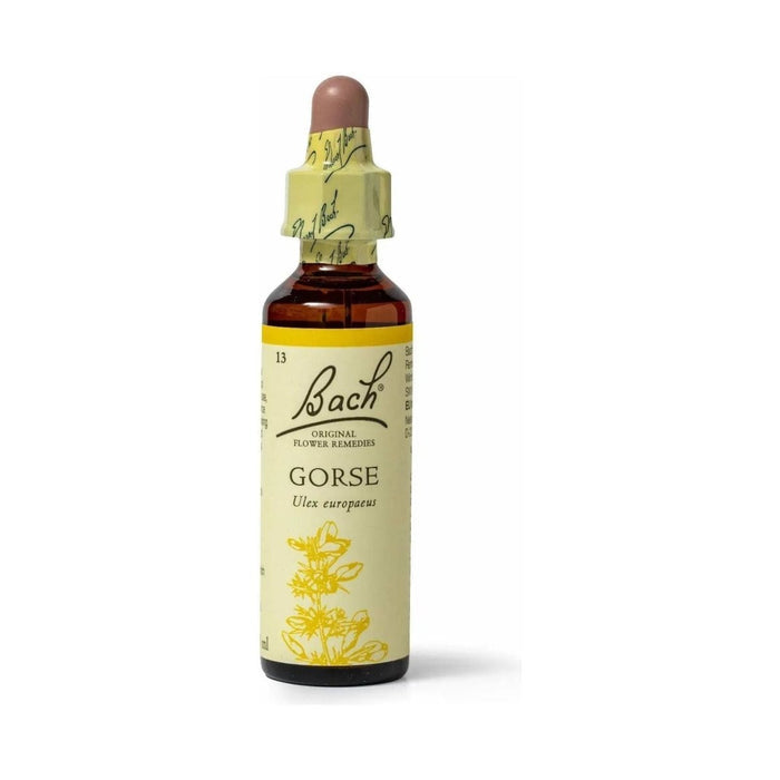 Bach Gorse 20 mL - The Oasis of Health