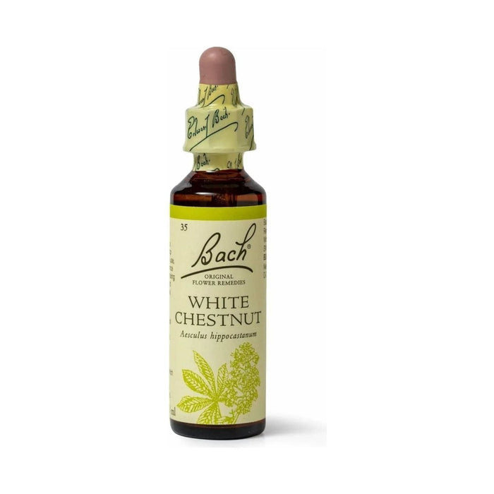 Bach White Chestnut 20mL - The Oasis of Health