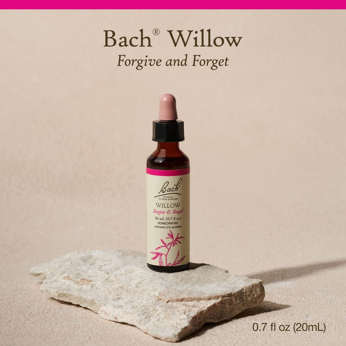 Bach Willow 20ml - The Oasis of Health