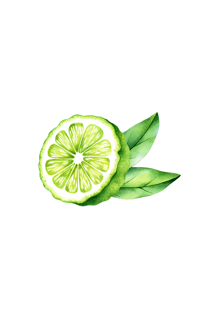 Rustic Strength - botanical image of cut bergamot citrus with leaves, representing Bergamot scent