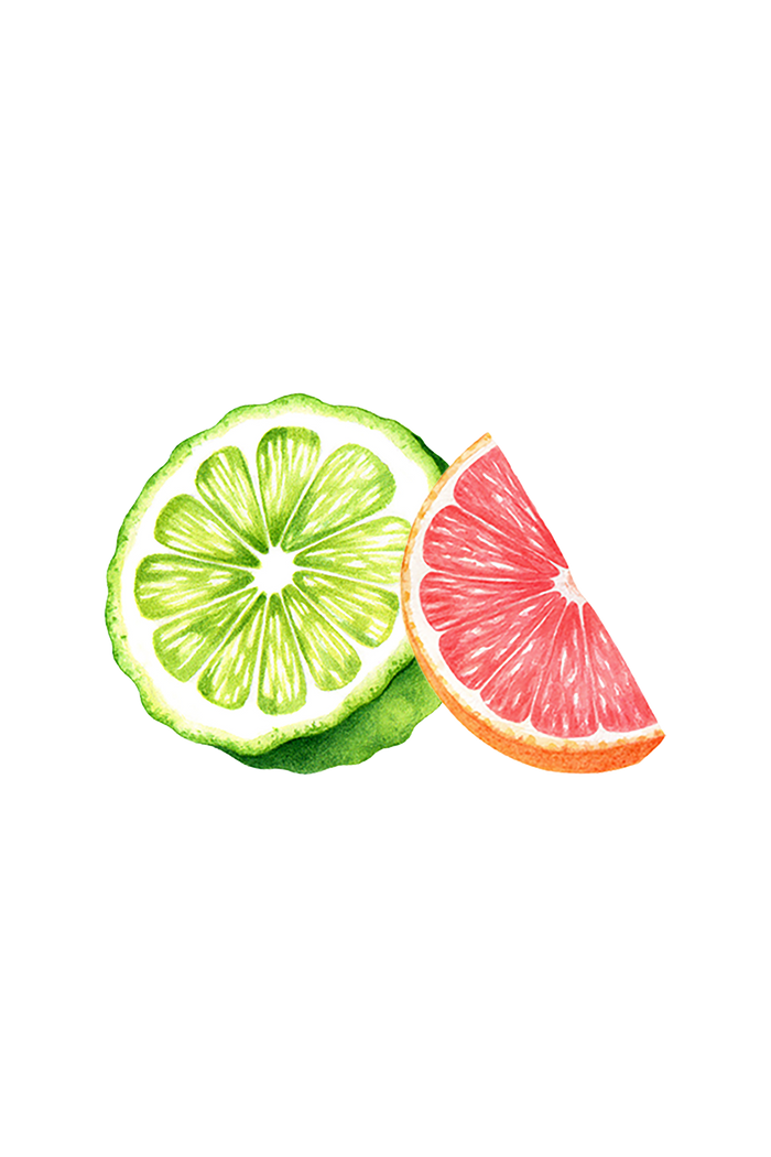 Rustic Strength - Botanical image  of a Bergamot & Grapefruit slice, representing Bergamot & Grapefruit scent