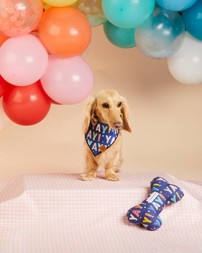 Birthday Yay Navy Dog Bandana: Medium