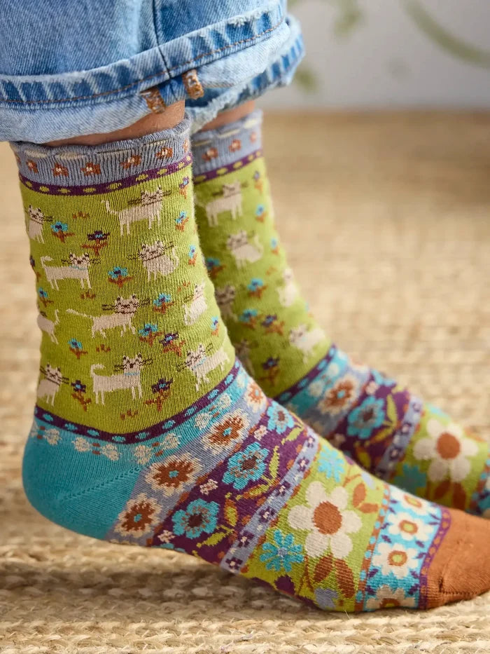 Boxed Boho Sock Set, Set of 3 - Cream Cat-view 1