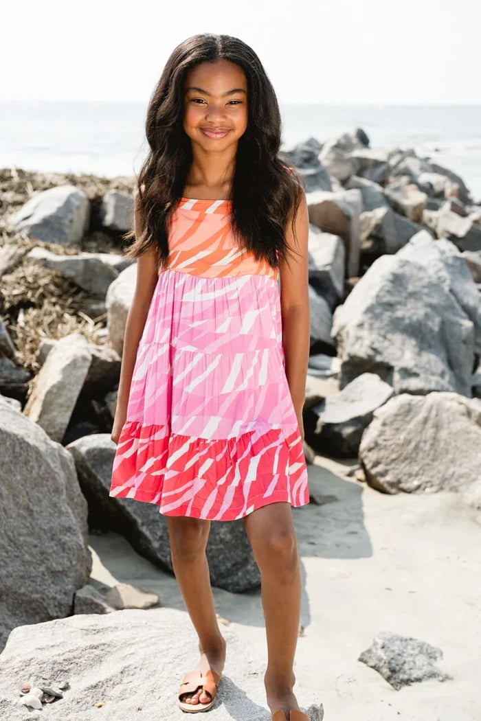 Briton Court | Sidney Dress Colorblock Zebra