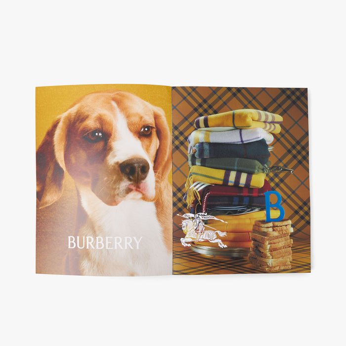 Bully Magazine Issue Two / Terell Cover