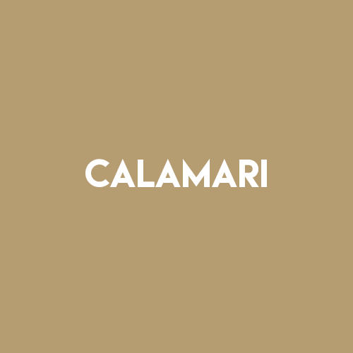 CALAMARI