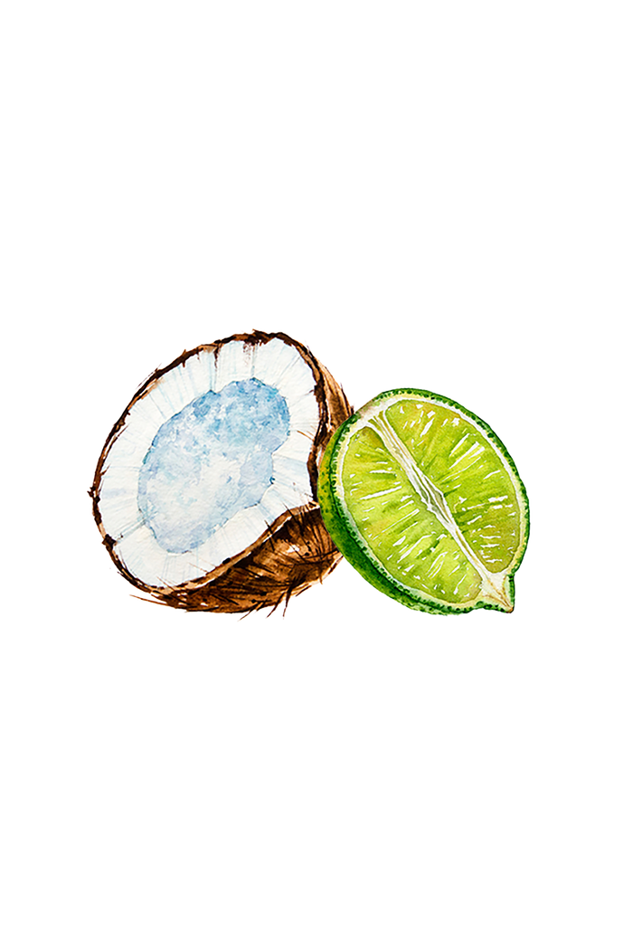 Rustic Strength - botanical image with open half of a coconut and a half of a lime, representing Coconut & Lime scent