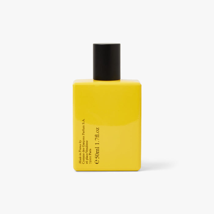 COMME des GARÇONS PARFUM x Monocle Scent 3 Sugi / 50ml