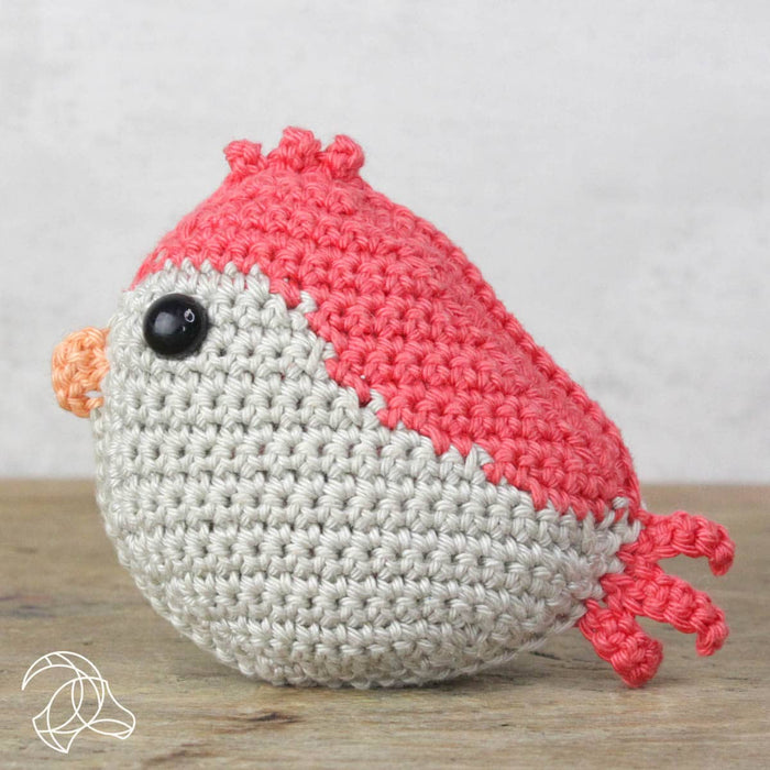 DIY Crochet Kit - Red Bird