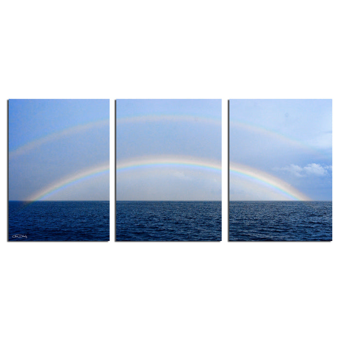 Double Rainbow' 3-Piece Wrapped Canvas Wall Art Set