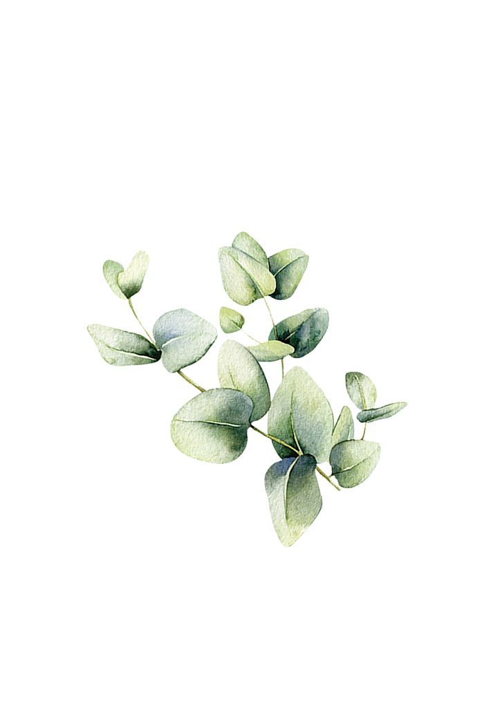 Rustic Strength - botanical image of Eucalyptus branch representing Eucalyptus scent