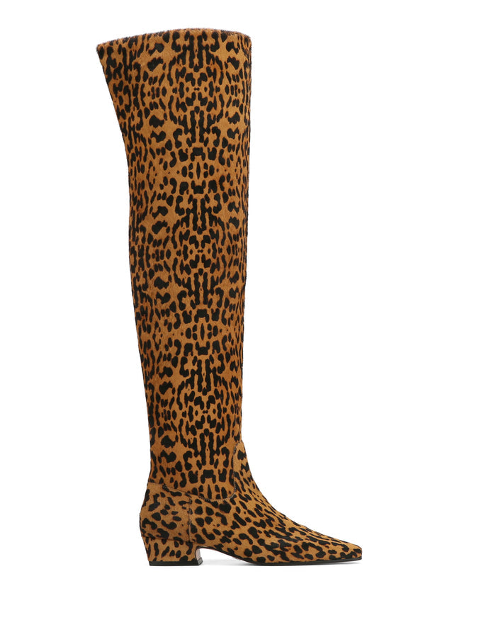 Fly Leopard