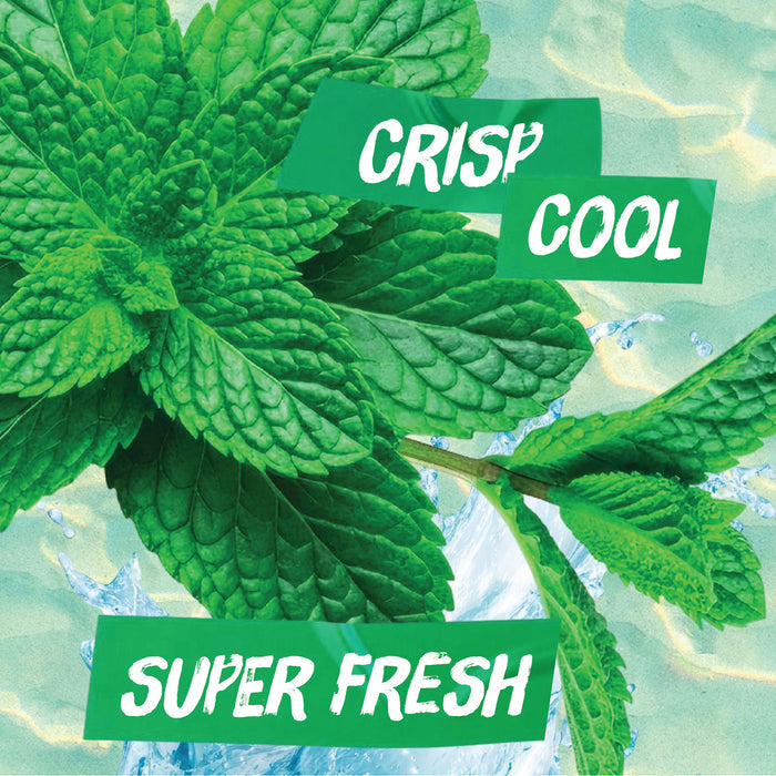 Good Soap Body Wash - Mint Splash