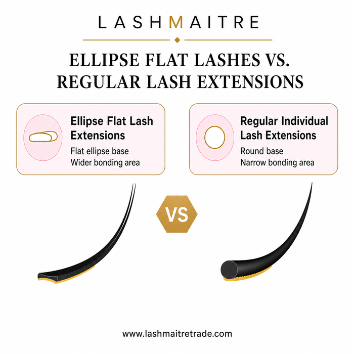 LASHMAITRE Ellipse Flat Lashes 0.10mm ellipse flat lashes vs regular lash extensions comparison