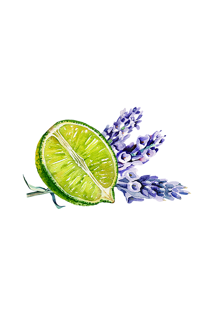 Rustic Strength - botanical image of a cut lime in front of a small bunch of lavender, representing Lavender & Lime scent