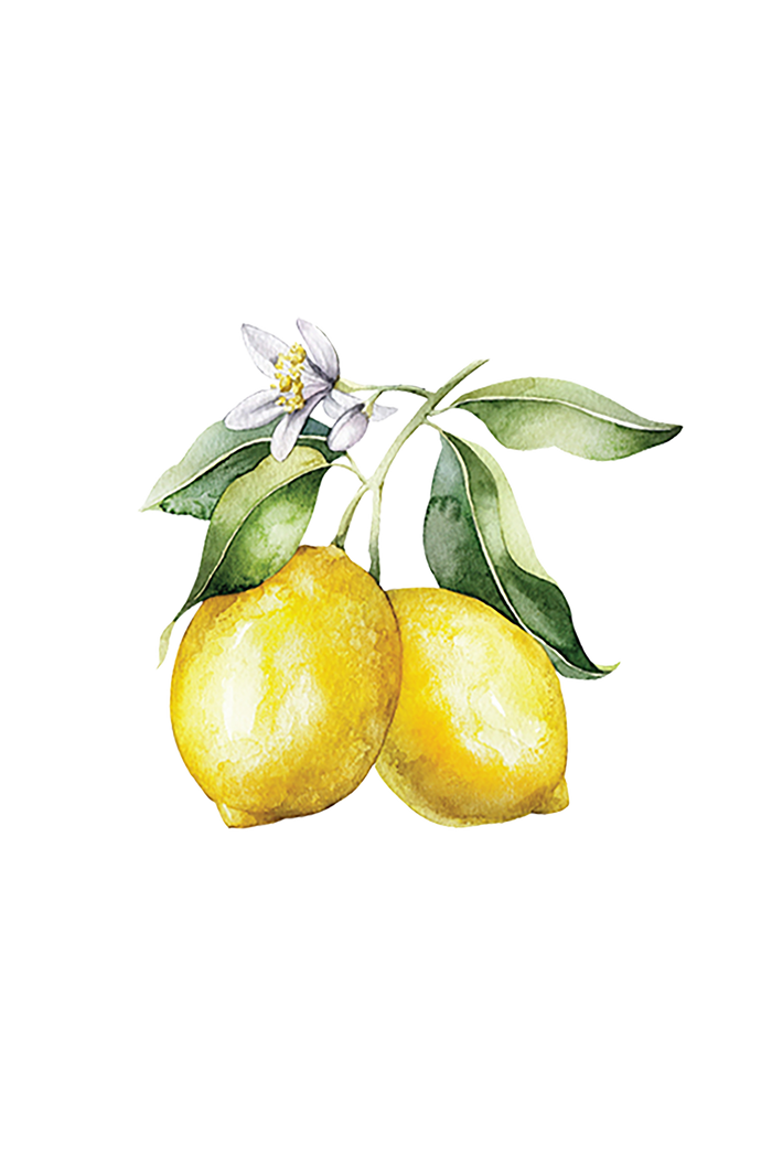 Rustic Strength - botanical image of 2 lemons on a branch with a blossom, representing Lemon scent