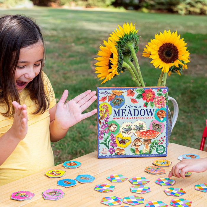Life in a Meadow Matching Game
