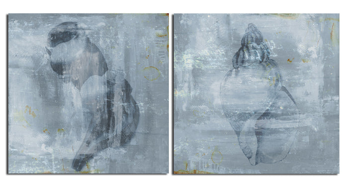 Modern Shells' 2 Piece Wrapped Canvas Wall Art Set