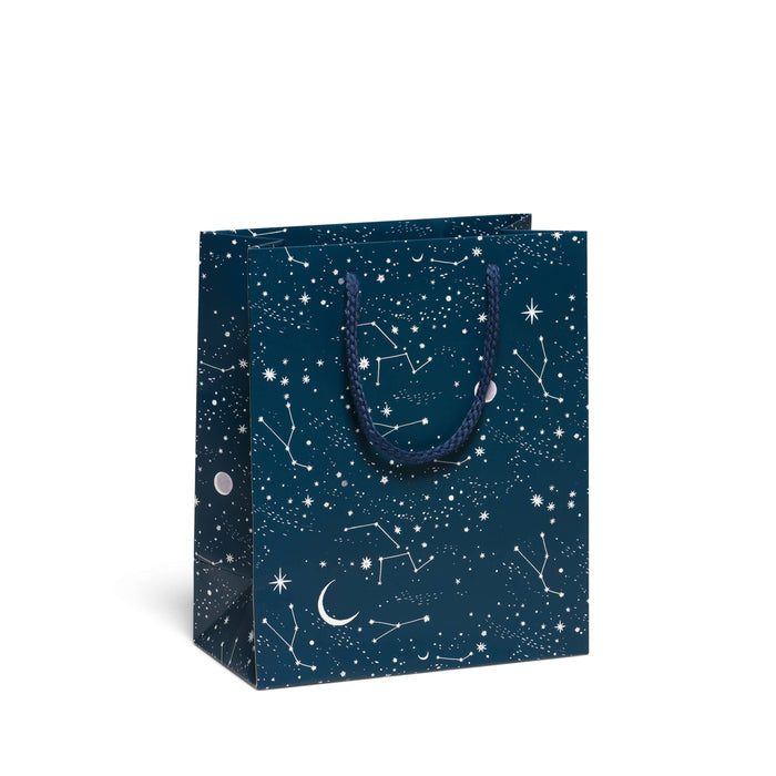 Moon and Stars gift bags