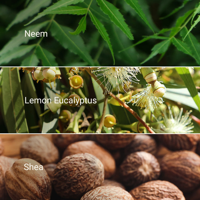 Neem & Lemon Eucalyptus Body Butter