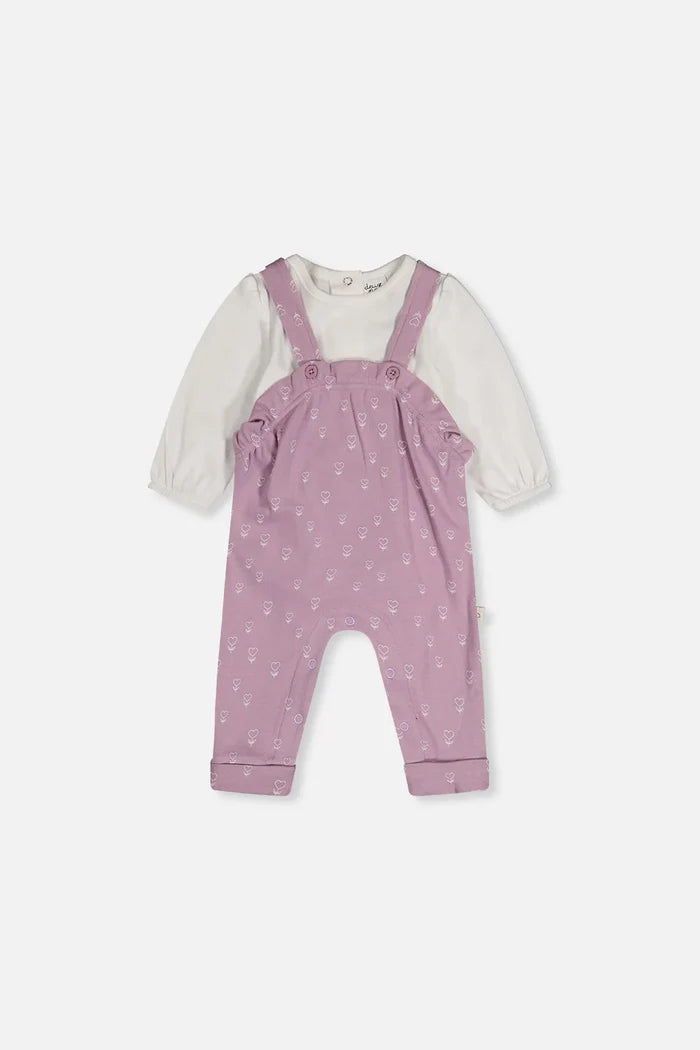 Organic Cotton Onesie and Overall Set