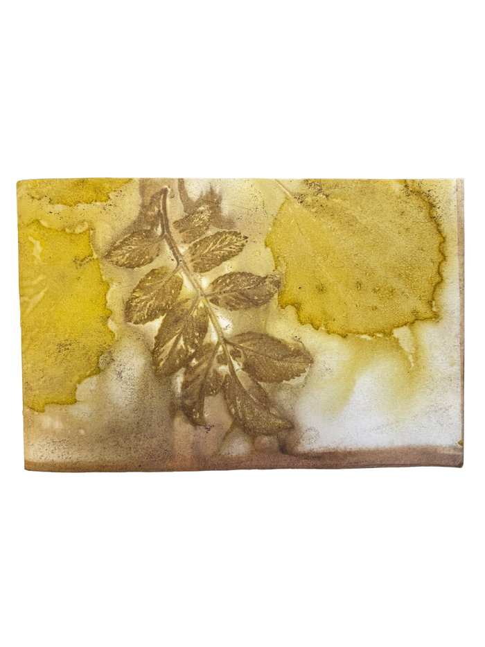 Small / Art Paper Journal / 9