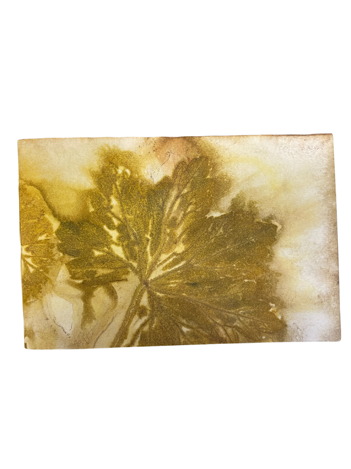 Small / Art Paper Journal / 11