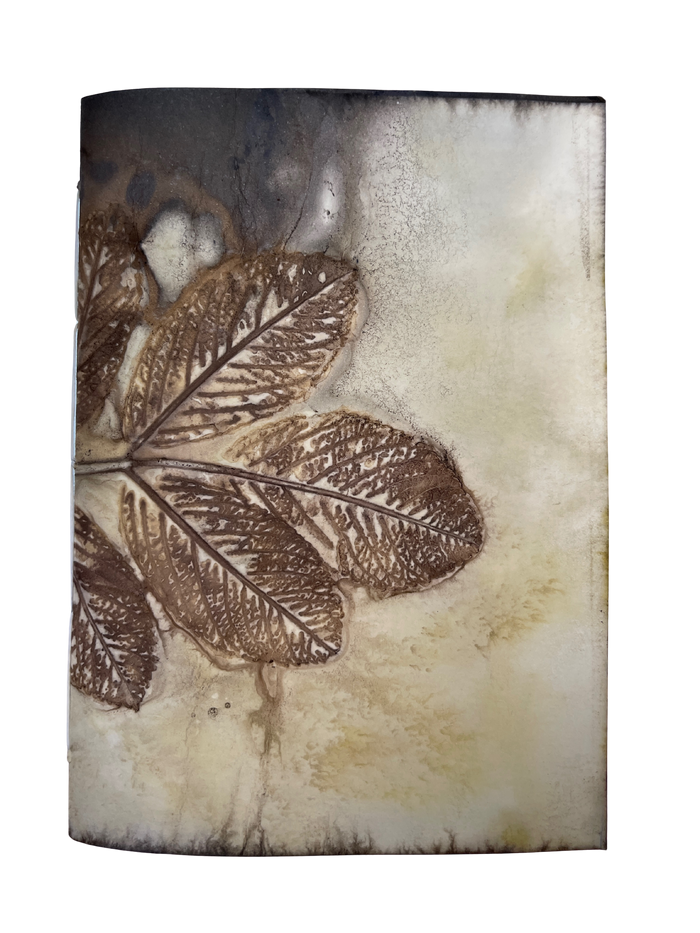 Medium / Blank Journal / 15