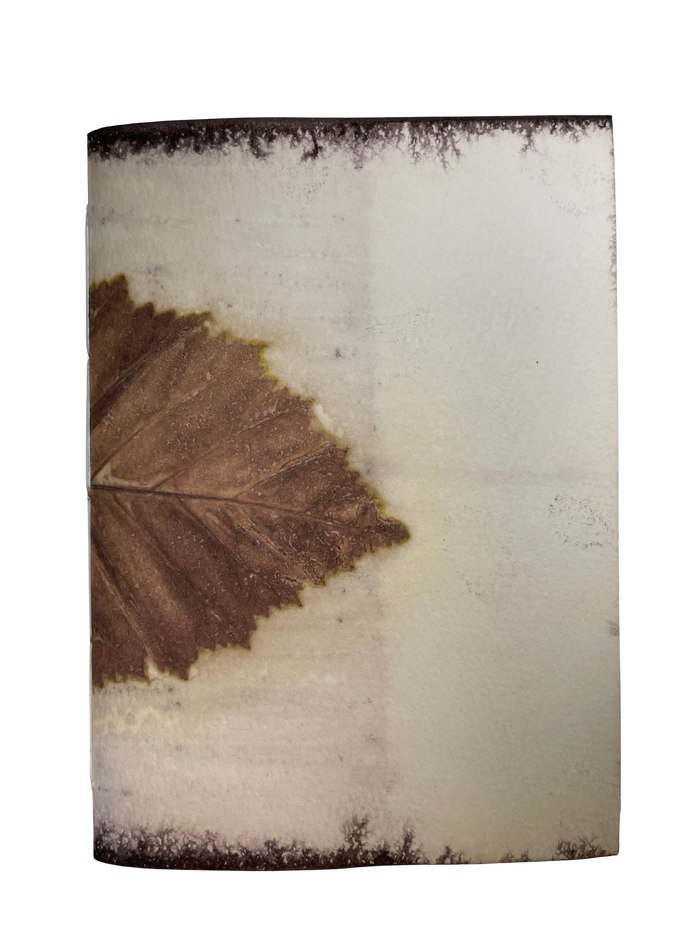 Medium / Blank Journal / 17