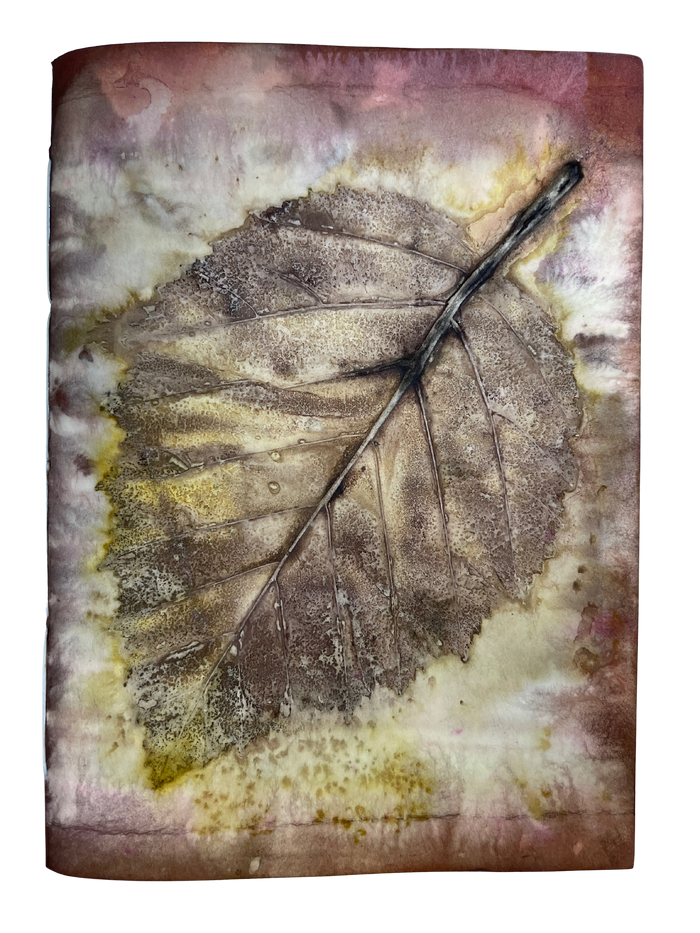 Medium / Blank Journal / 19