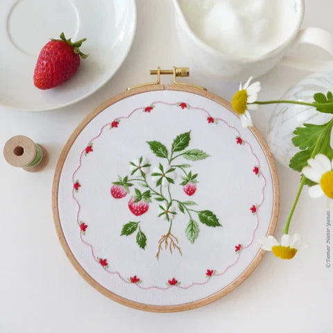 Strawberry Cake 6" Embroidery Kit