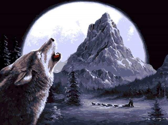 Wolf howling Paint By Numbers Kit